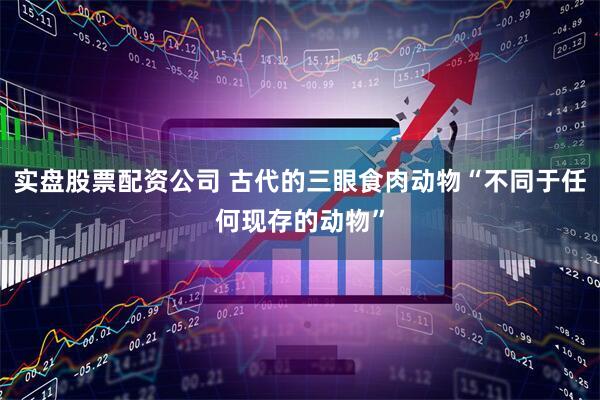 实盘股票配资公司 古代的三眼食肉动物“不同于任何现存的动物”