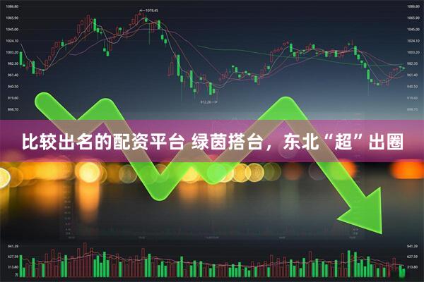 比较出名的配资平台 绿茵搭台，东北“超”出圈