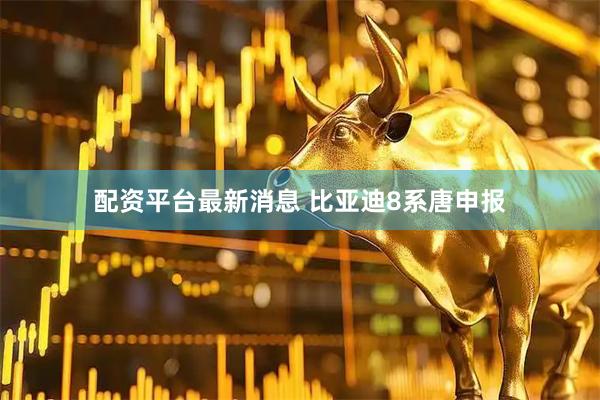 配资平台最新消息 比亚迪8系唐申报